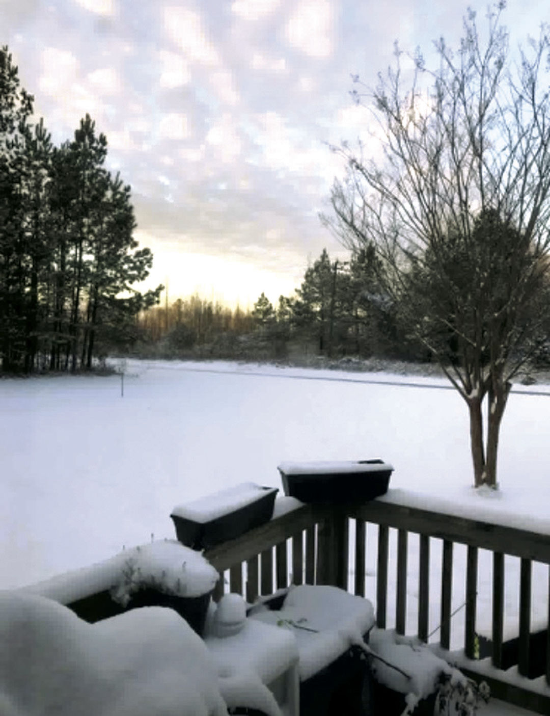 Reader's Snow Day pics
